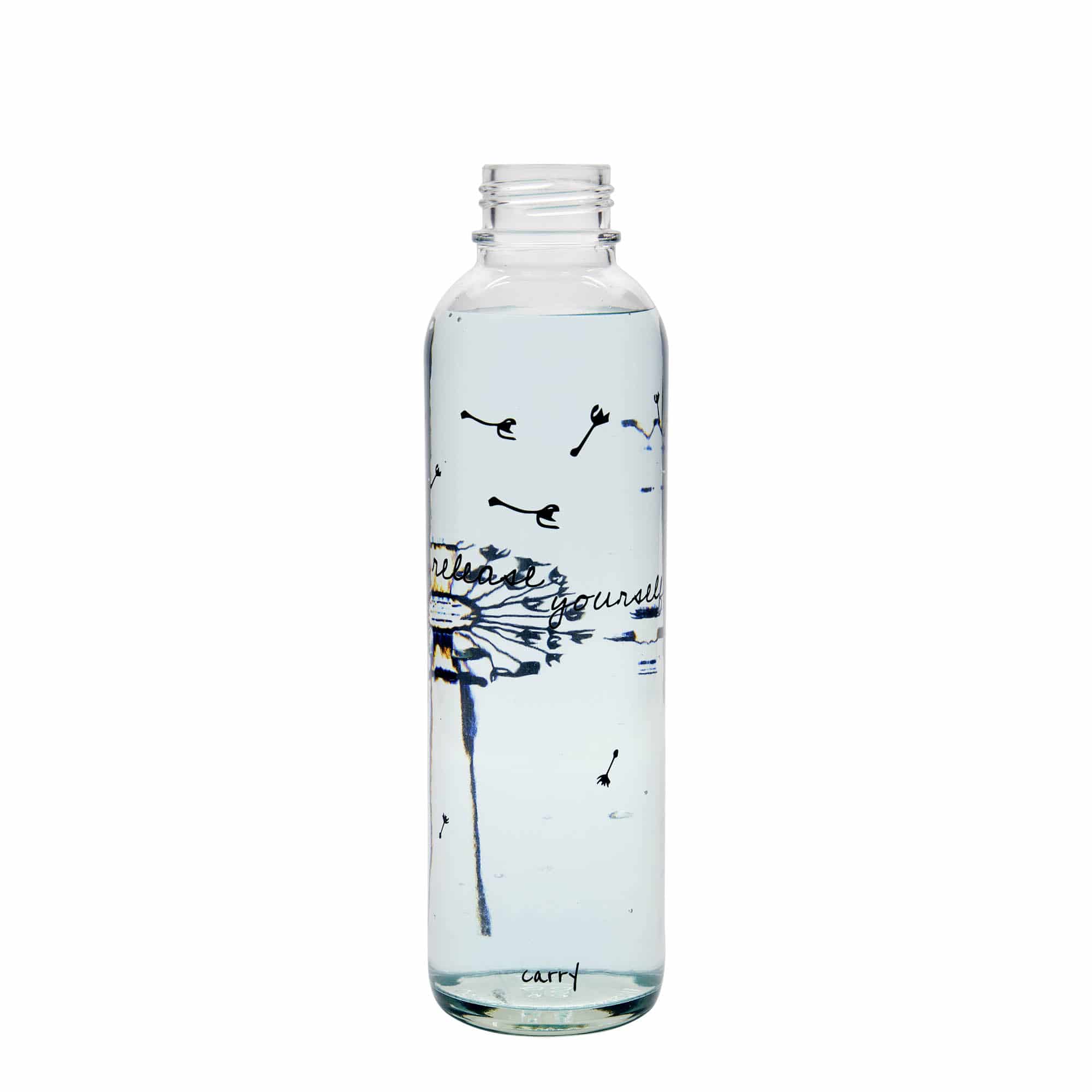 Shishe për pije 700 ml CARRY Bottle, motiv: Lirëso veten, gozhdë: Kapak me vidë